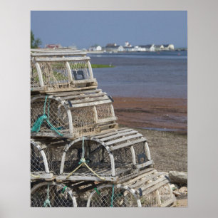 Kanada, Prinz Edward Island, Rustico. Hummer Poster