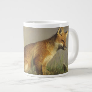Kanada, Quebec. Rotfuchsjunges bei Sonnenaufgang Jumbo-Tasse