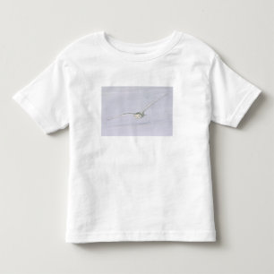 Kanada, Quebec. Schneeeule fliegt tief über Schnee Kleinkind T-shirt