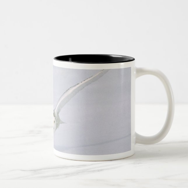 Kanada, Quebec. Schneeeule fliegt tief über Schnee Zweifarbige Tasse (Rechts)