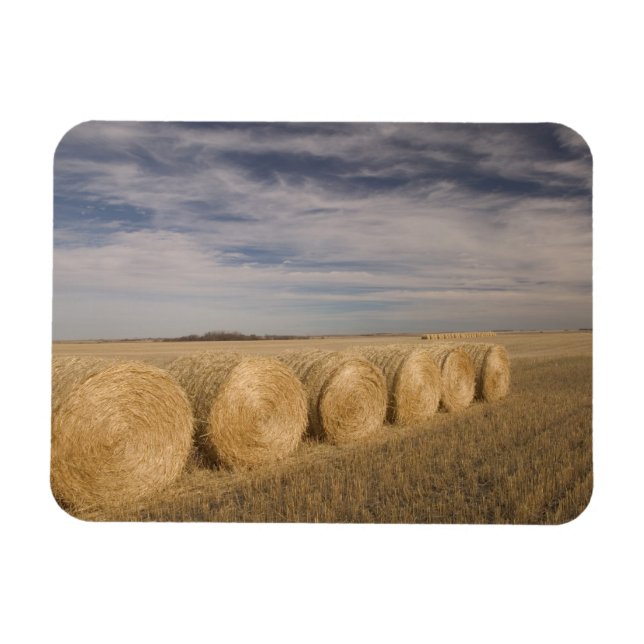 Kanada, Saskatchewan, Craik: Hayroll / Herbst Magnet (Horizontal)