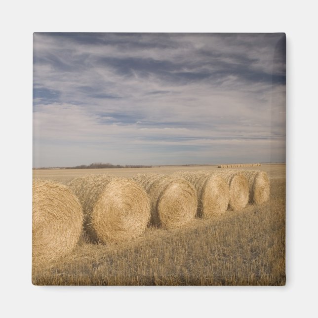Kanada, Saskatchewan, Craik: Hayroll / Herbst Magnet (Vorne)
