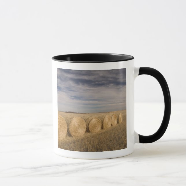 Kanada, Saskatchewan, Craik: Hayrolls/Herbst Tasse (Rechts)