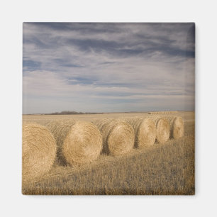 Kanada, Saskatchewan, Craik: Heuröllen / Herbst Magnet