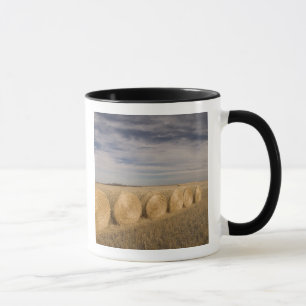Kanada, Saskatchewan, Craik: Heuröllen / Herbst Tasse