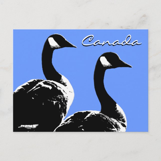 Kanada Souvenir Postkarten Kanada Geese Cards (Vorderseite)
