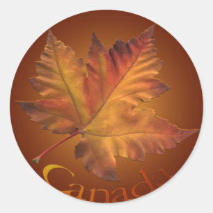 Kanada Souvenir Stickers Maple Leaf Stickers