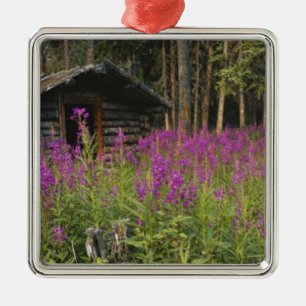 Kanada, Yukon, Gebiet Ross River, Verlassene Hütte Silbernes Ornament