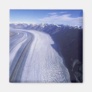 Kanada, Yukon-Territorium, Kluane-Nationalpark. Magnet