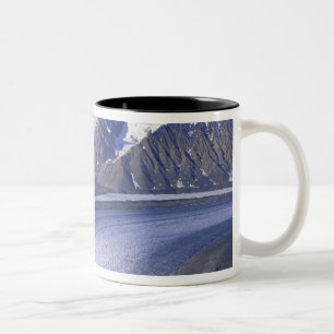 Kanada, Yukon-Territorium, Kluane-Nationalpark. Zweifarbige Tasse