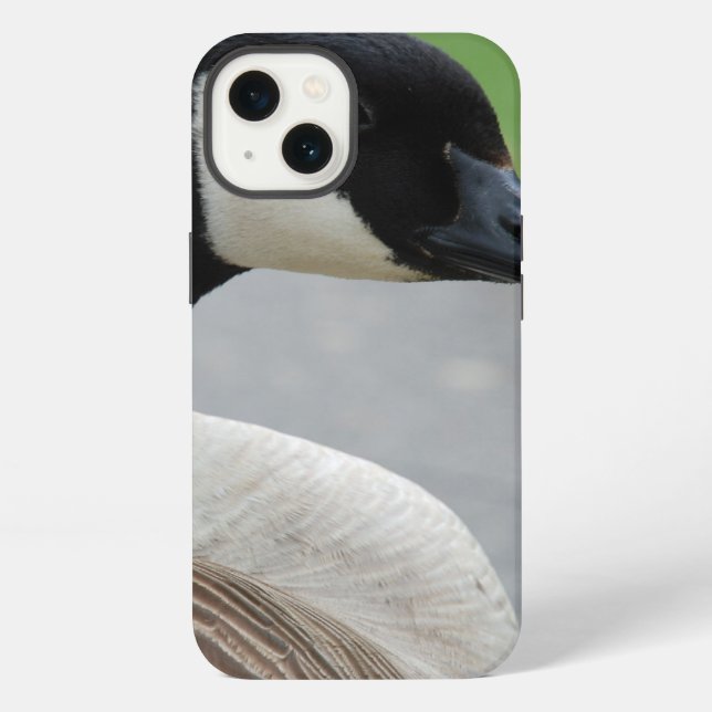 Kanadagans iPhone Hülle (Rückseite)