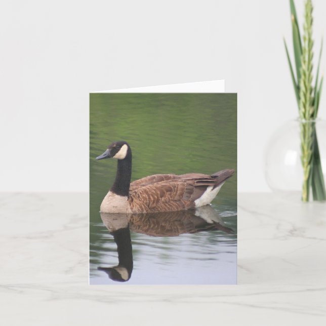 Kanadagans Reflexionen Natur Notiz Karte (Vorderseite)