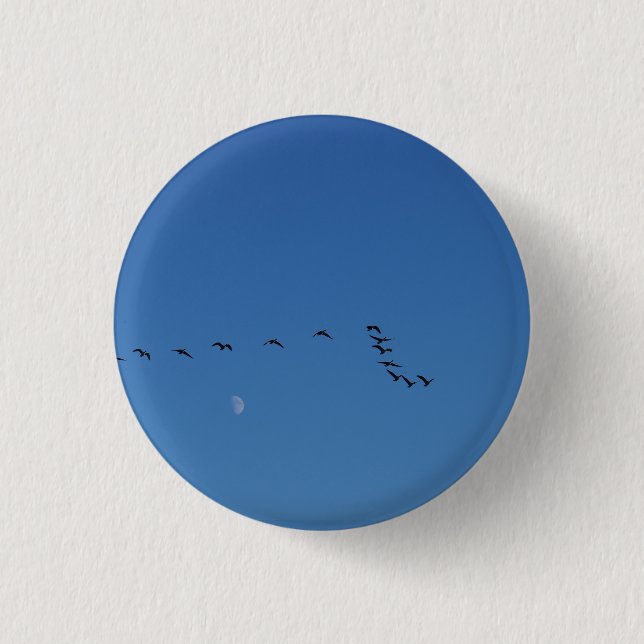 Kanadagänse im Flug Button (Vorderseite)