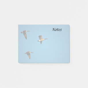 Kanadagänse im Flug  Post-it Klebezettel