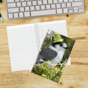 Kanadahäher-Naturfoto Notizbuch