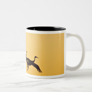 Kanadakranich landet bei Sonnenuntergang Zweifarbige Tasse