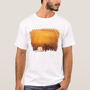 Kanadakraniche gegen aufgehende Sonne silhouettier T-Shirt