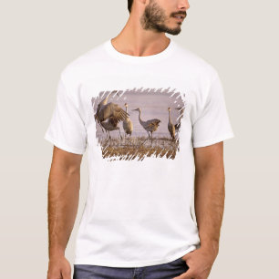 Kanadakraniche (Grus canadensis) Platte T-Shirt