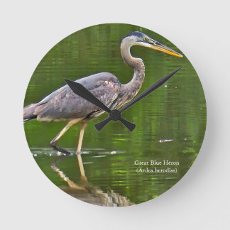 Kanadareiher (Ardea herodias) Runde Wanduhr