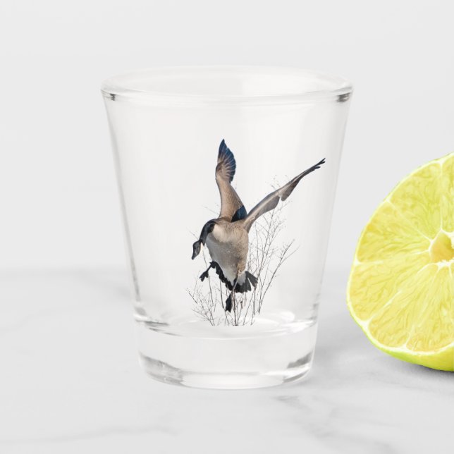 Kanadas Gans, Art Schnapsglas (Vorderseite)