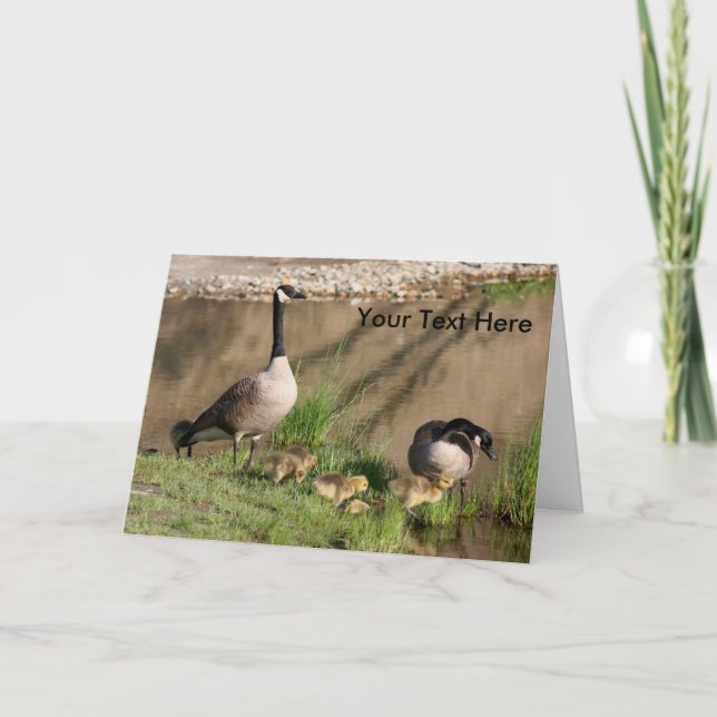 Kanadas Gänse und Babies Nature Foto Card Karte (Vorderseite)