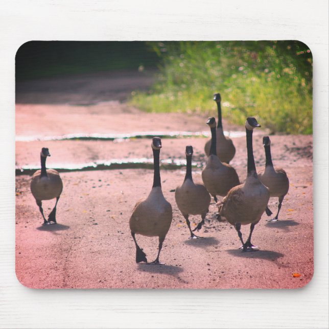 Kanadas Gänsefamilie Mousepad (Vorne)