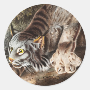Kanadas Lynx (Lynx Canadensis) Illustration Runder Aufkleber