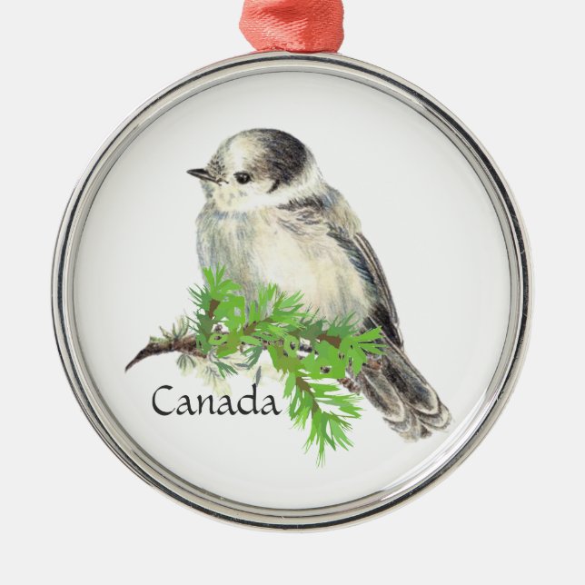 Kanadas National Bird Gray Jay, Whiskey Jack Silbernes Ornament (Vorne)