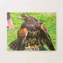 Kanadische Adler.