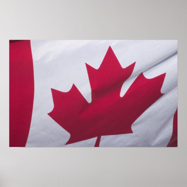 Kanadische Flagge. Poster (Vorne)