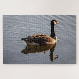 Kanadische Gans am See