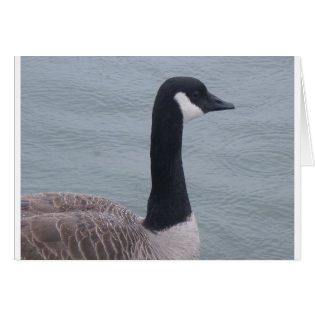 Kanadische Gans am See (Vorderseite (Horizontal))