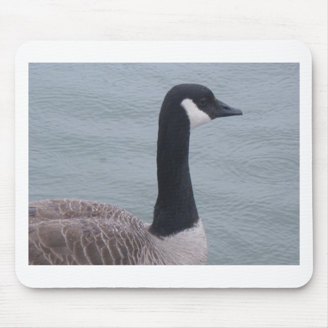 Kanadische Gans am See Mousepad (Vorne)