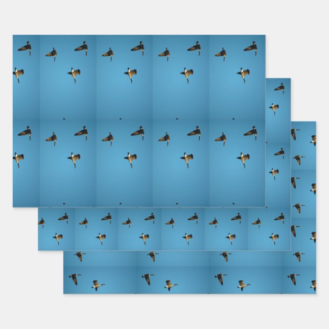 Kanadische Gans auf dem Flug Geschenkpapier Set (Set)