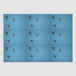 Kanadische Gans auf dem Flug Seidenpapier