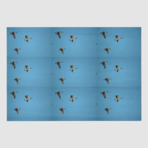 Kanadische Gans auf dem Flug Seidenpapier