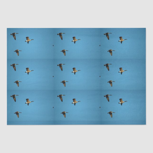 Kanadische Gans auf dem Flug Seidenpapier (Vorderseite)