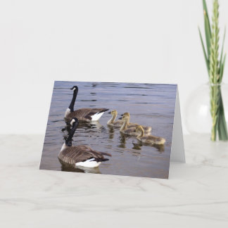Kanadische Gans-Familie Karte