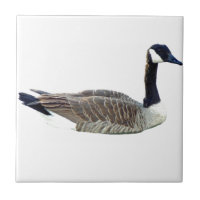 Kanadische Gans-Fliese