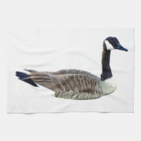 Kanadische Gans