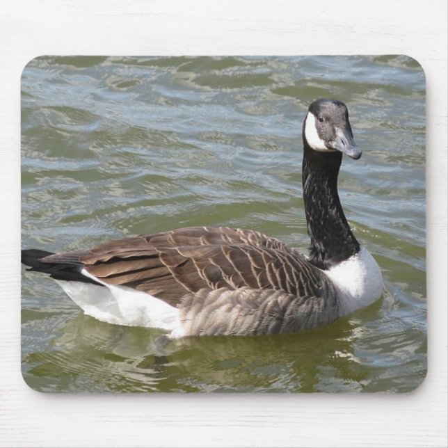 Kanadische Gans Mousepad (Vorne)