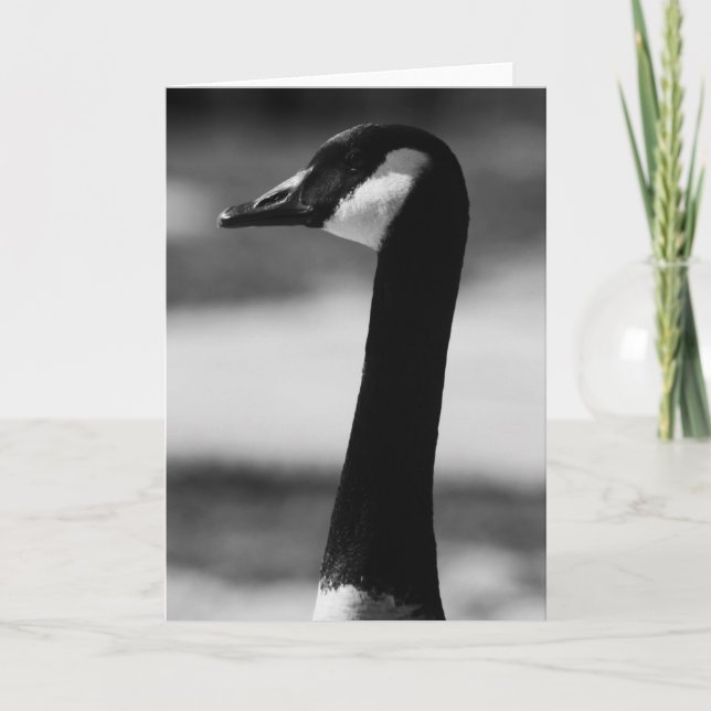 Kanadische Gans-Porträt-Gruß-Karte, Karte (Vorderseite)