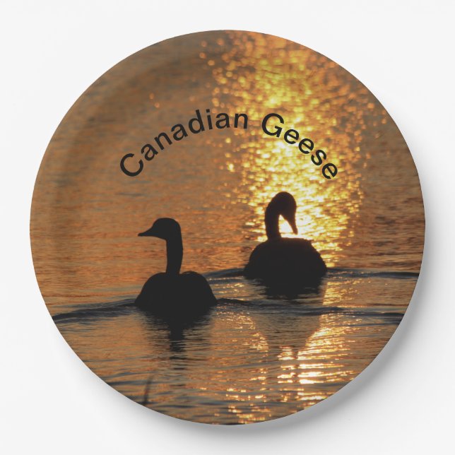 Kanadische Gänse bei Sunset Paper Plate Pappteller (Vorderseite)