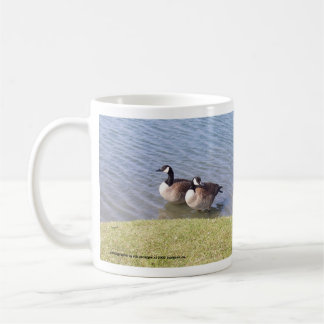 Kanadische Gänse entlang dem Ottawa-Fluss Kaffeetasse