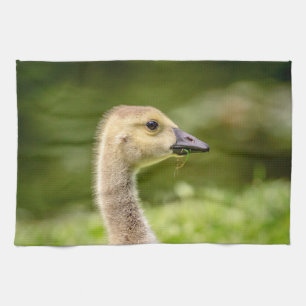 Kanadische Gänse (Gänse) Handtuch