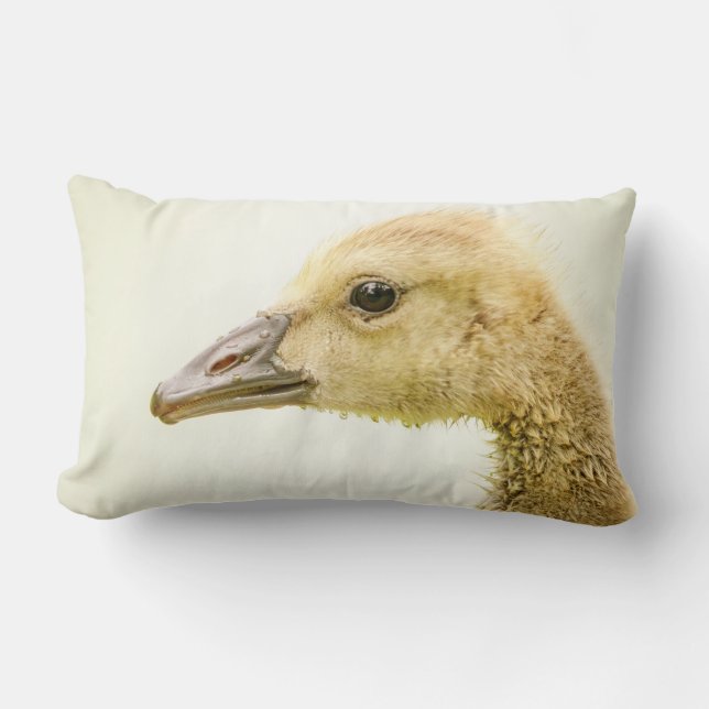 Kanadische Gänse (Gänse) Lendenkissen (Vorderseite)