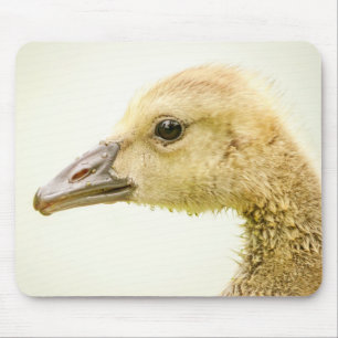 Kanadische Gänse (Gänse) Mousepad