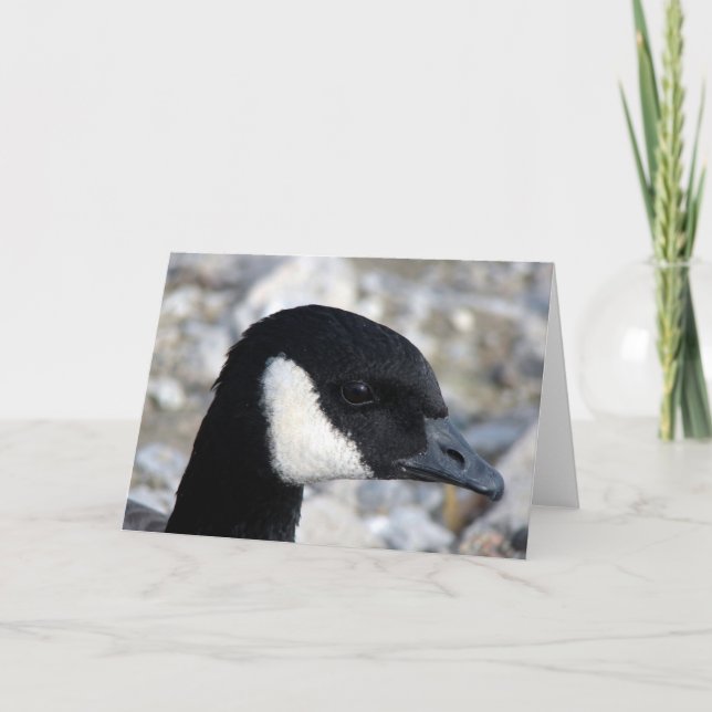 Kanadische Gänse Karte (Vorderseite)