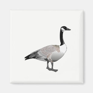 Kanadische Gänse Magnet