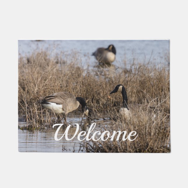 Kanadische Gänse Snack Time Willkommen Doormat Fußmatte (Vorderseite)